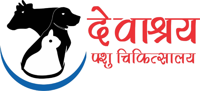 Devashrya Animal Hospital