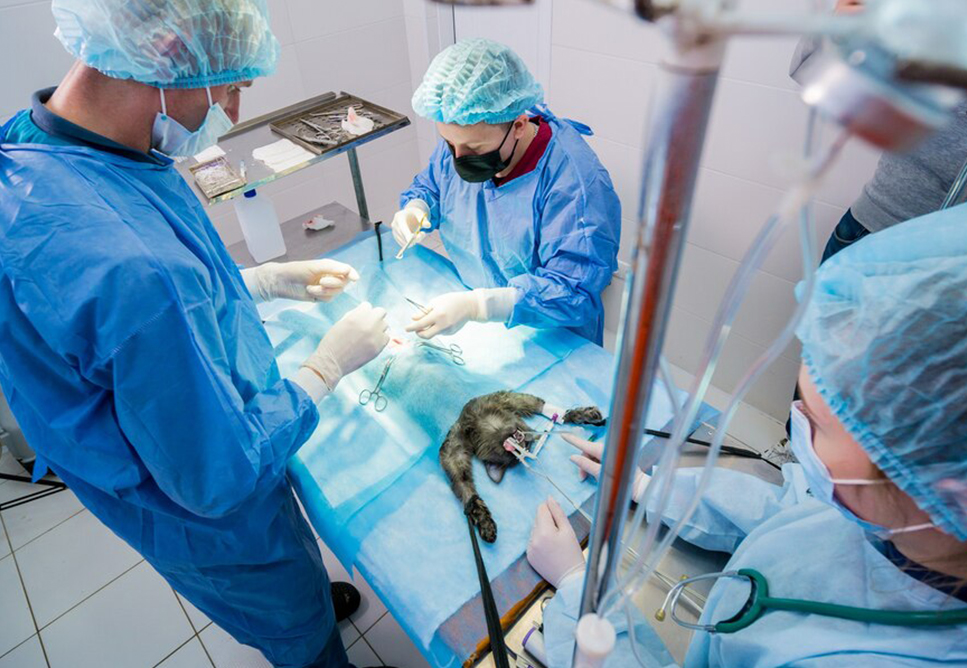 Surgical Team